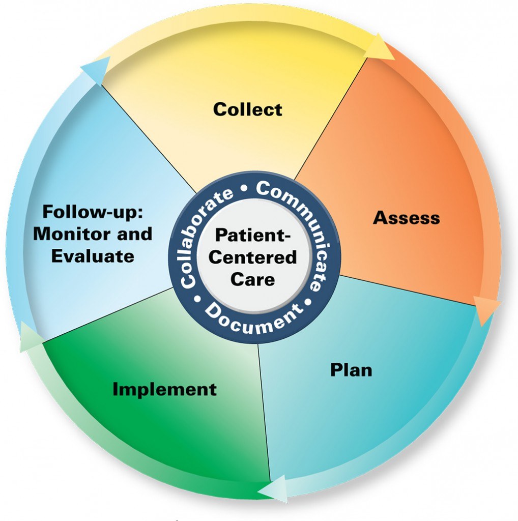 Ein Kreisdiagramm mit der Überschrift "patientenorientierte Versorgung" und vier farbigen Abschnitten, jeweils mit einer spezifischen Pflegeart beschriftet.