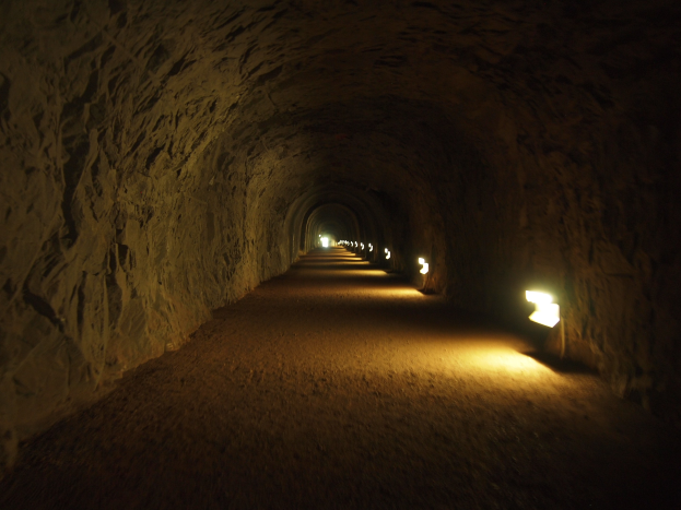 Dunkler Tunnel mit schwachem Licht am Ende, der eine mysteriöse Atmosphäre schafft.