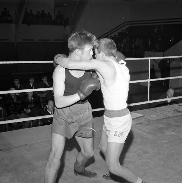 Zeit, um im Käfig zu toben im Weißen Haus. UFC als Hauptveranstaltung bei Trumps 80. Geburtstagsfeier