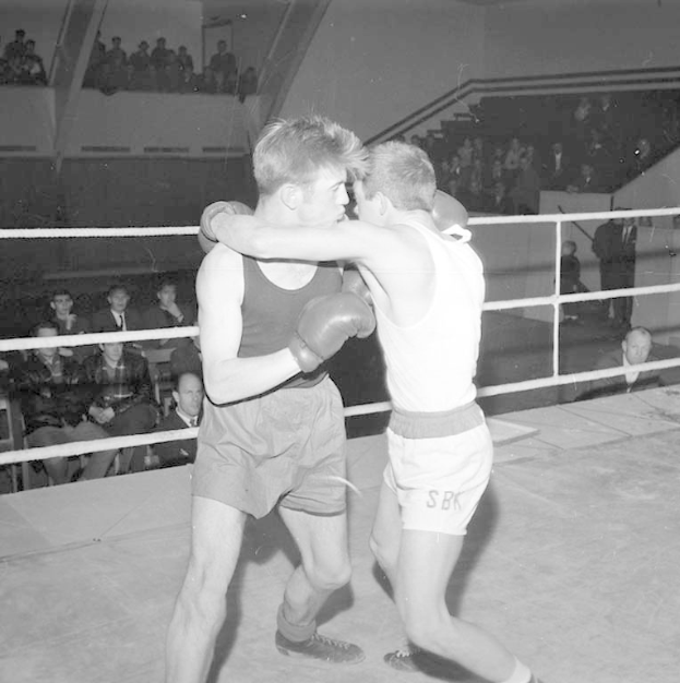 Zeit, um im Käfig zu toben im Weißen Haus. UFC als Hauptveranstaltung bei Trumps 80. Geburtstagsfeier
