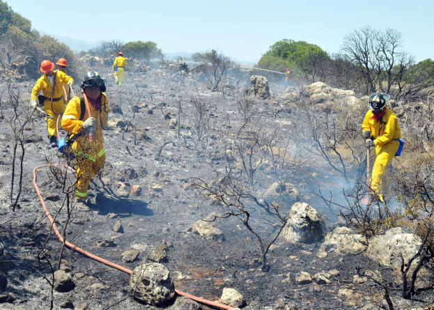 Gruppe von Feuerwehrleuten in gelben Uniformen und Helmen, die durch ein verbranntes Gebiet mit Bäumen, Felsen und einem Rohr im Vordergrund unter einem klaren Himmel gehen.