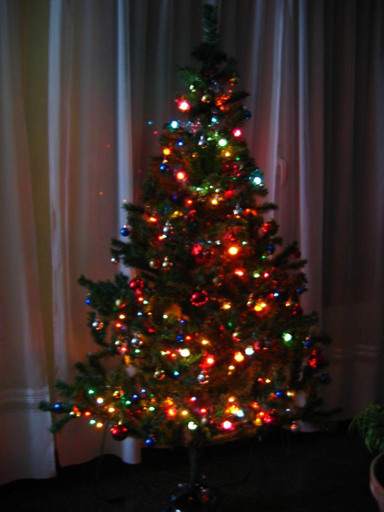 Ein mit Lichtern geschmückter Weihnachtsbaum steht vor einem Vorhang und einer Topfpflanze.