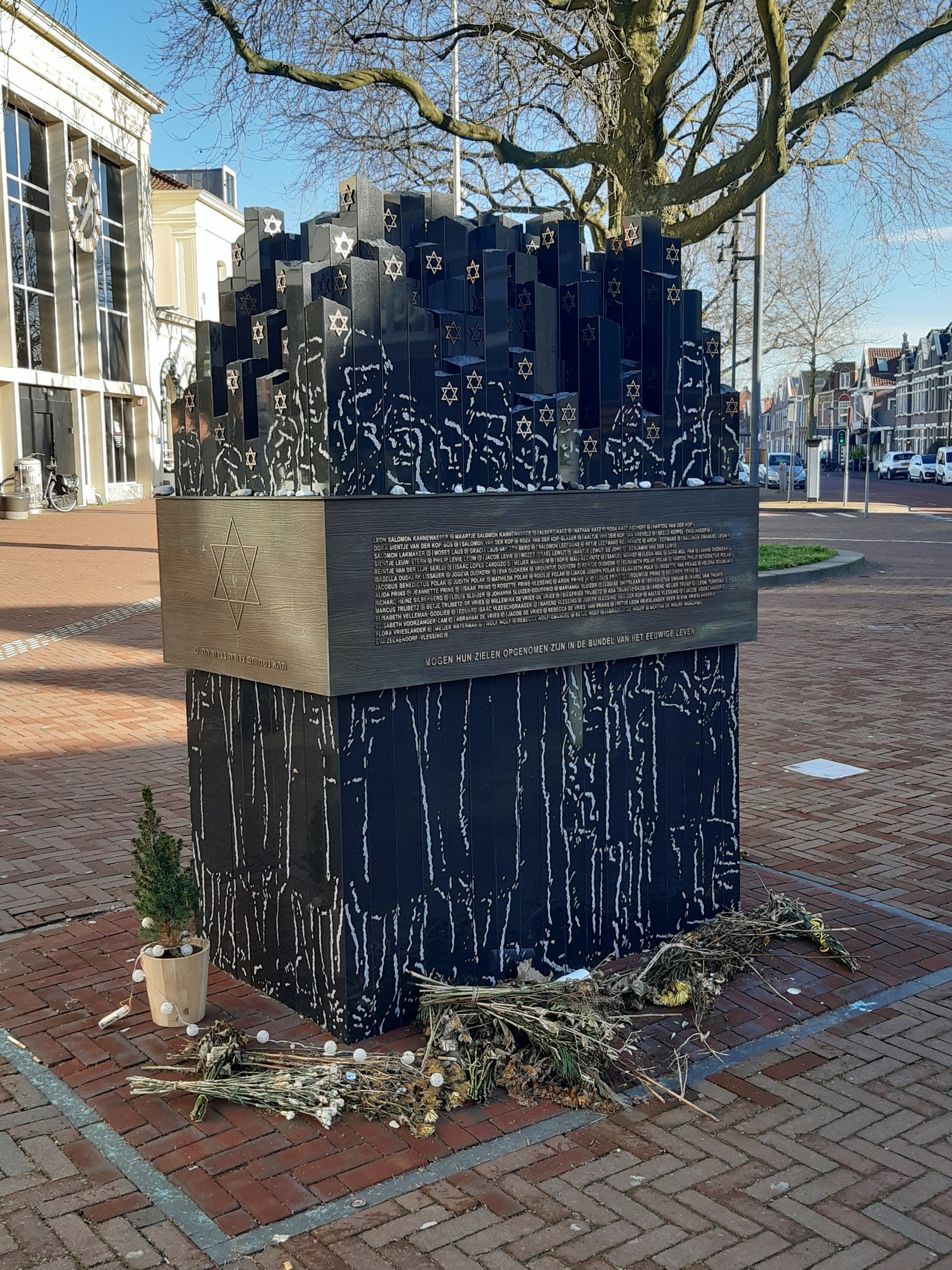 Denkmal in einem Stadtplatz gewidmet an Holocaust-Opfer, mit einem Baum davor, einem Topfgewächshaus auf dem Boden, verstreuten trockenen Blättern und Gebäuden, Fahrzeugen, Masten und Bäumen im Hintergrund.