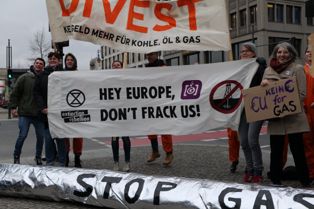 Gruppe von Menschen mit einem 'Stoppt Benzin' Schild auf der Straße in Protest gegen die Europäische Union mit Gebäuden, Bäumen, Polen, Verkehrszeichen und einem klaren blauen Himmel im Hintergrund.