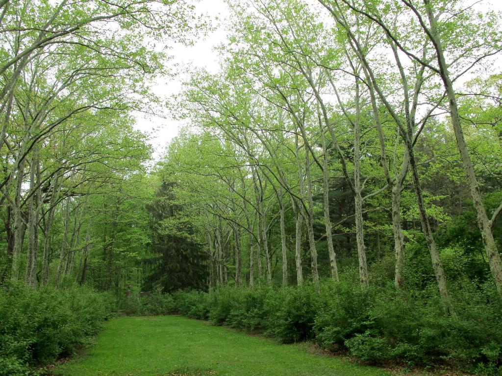 Grünland umgibt das Gebiet mit Grasland am Bildrand.
