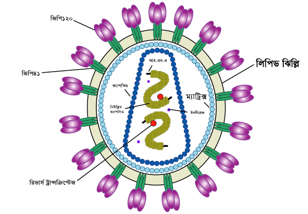 Ein farbenfrohes Rangoli-Design für Diwali mit einer 2 in der Mitte, umgeben von Blumen und Bengali-Text.