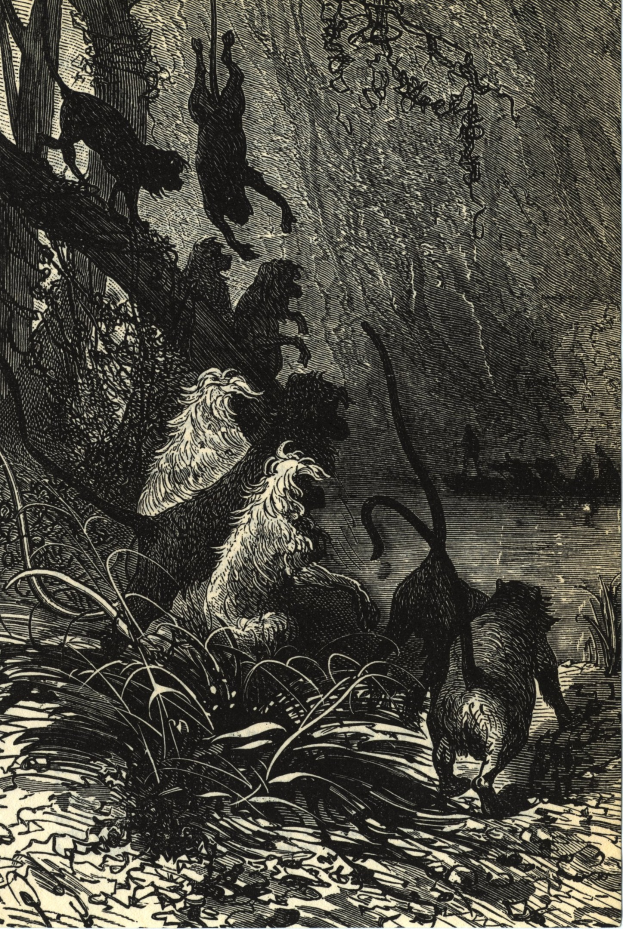 Schwarze und weiße Illustration einer Gruppe von Löwen in einer Dschungellandschaft mit üppiger Vegetation und Bäumen, die den Text 'Der König der Löwen' unten zeigt.