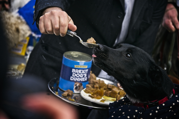 Eine Person füttert einen Hund aus einer Dose mit Essen auf einem Teller mit einem Löffel, während andere Menschen im Hintergrund an einem öffentlichen Ort zu sehen sind.