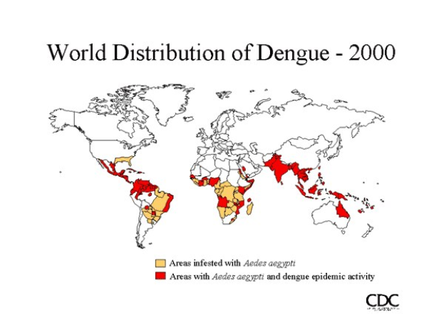 Stadt Mandaue erlässt die Aktivierung 
der barangay-Dengue-Aufgabenkräfte