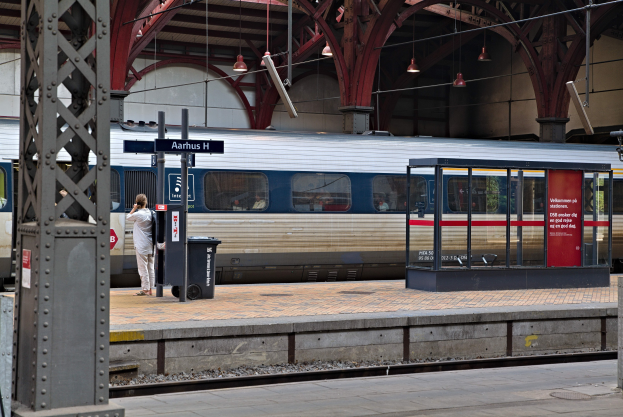 Ein Zug fährt auf einem Bahnsteig ein, wo eine Person steht, mit einem nahen Müllcontainer, Pfölen, Informationsanzeigen und Deckenleuchten.