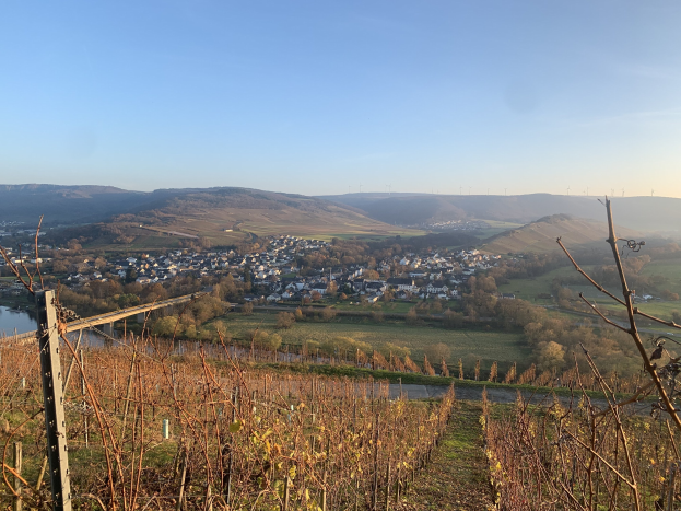 Empörung wegen Rhein-Ufer-Sanierung in Mainz: Schausteller drohen der Stadt mit Klage