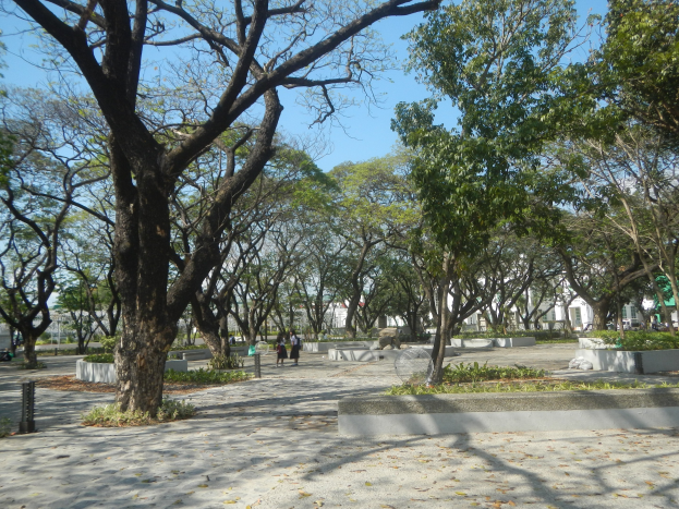 Ein Park mit vielen Bäumen, Menschen, die spazieren gehen, Bänken, trockenen Blättern auf dem Boden, Gebäuden im Hintergrund und einem klaren blauen Himmel.