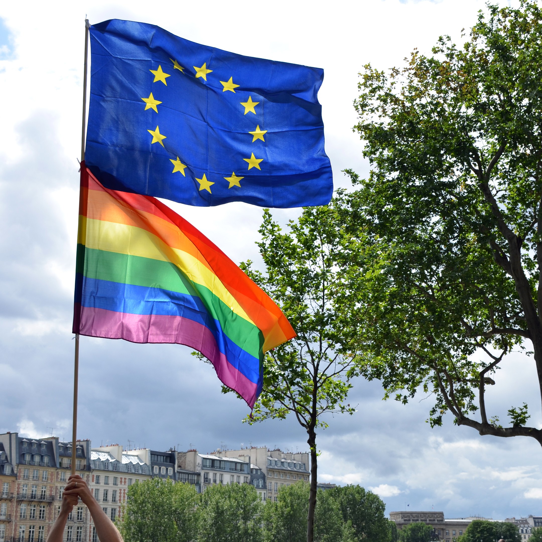 Person mit Regenbogenfahne vor einem Baum, mit Gebäuden und Wolken im Hintergrund.