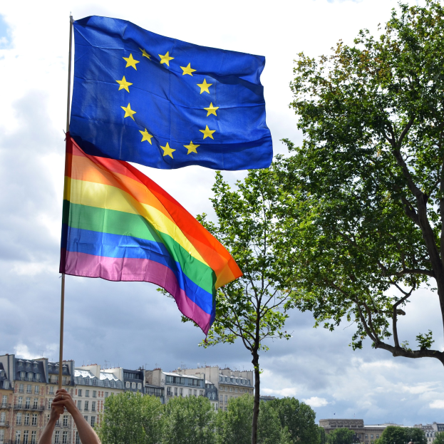 Person mit Regenbogenfahne vor einem Baum, mit Gebäuden und Wolken im Hintergrund.