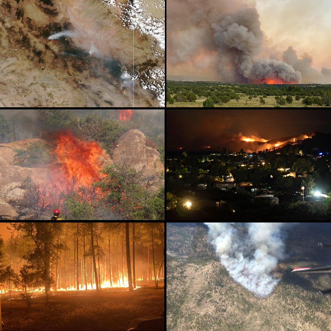 Eine Collage von Bildern, die kalifornische Waldbrände mit Rauch, brennenden Bäumen, einem Hubschrauber und dunklen orangeroten Himmel zeigen.