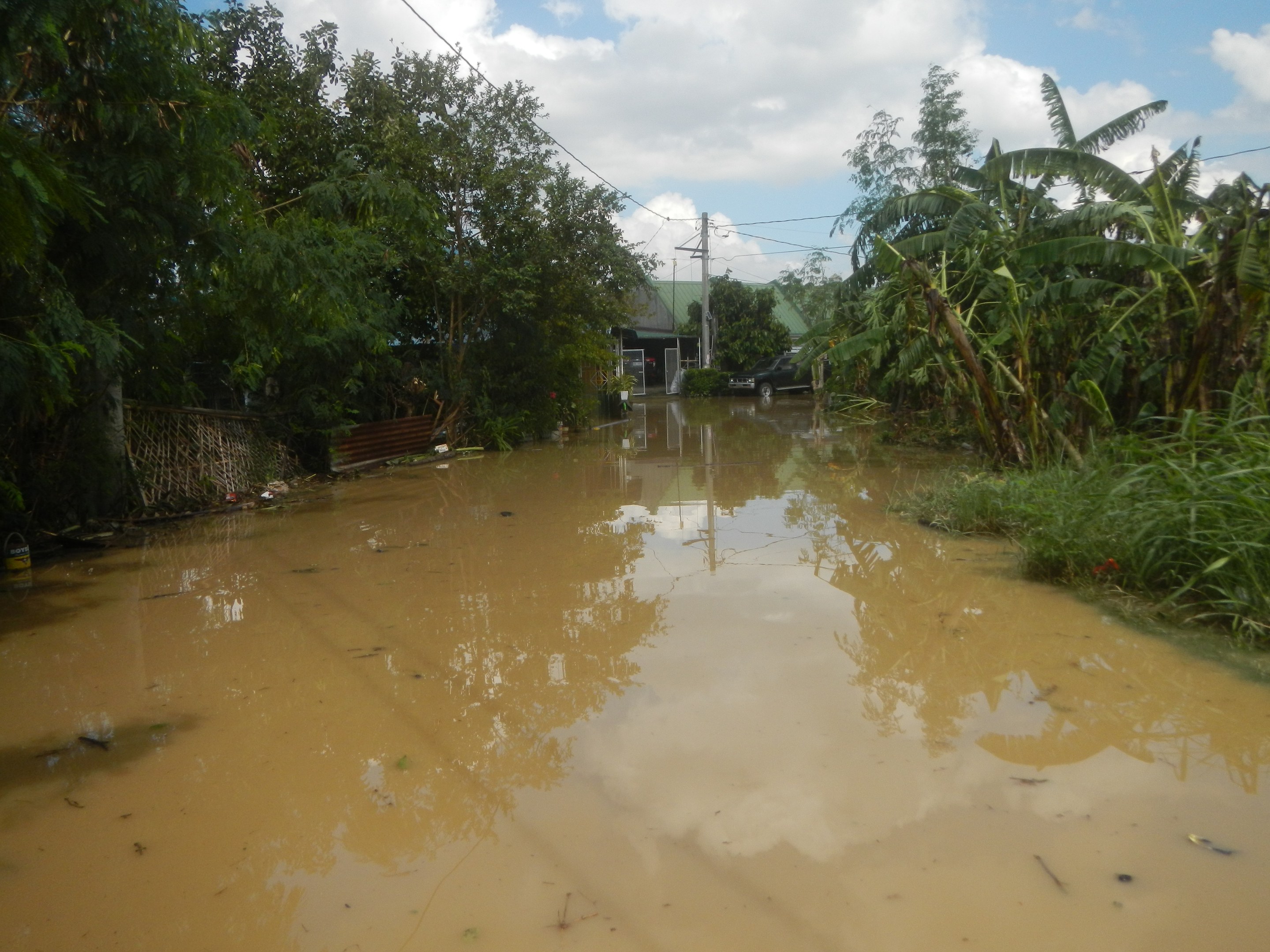 Eine überschwemmte Landstraße mit Wasser, das die Straße, Pflanzen und Bäume auf beiden Seiten bedeckt, und einem auf der rechten Seite geparkten Auto, mit Häusern, Strommasten und Drähten im Hintergrund und einem bewölkten Himmel.