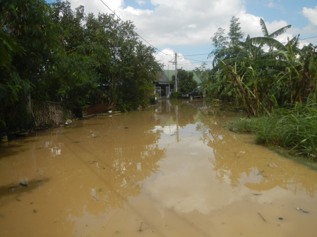 Eine überschwemmte Landstraße mit Wasser, das die Straße, Pflanzen und Bäume auf beiden Seiten bedeckt, und einem auf der rechten Seite geparkten Auto, mit Häusern, Strommasten und Drähten im Hintergrund und einem bewölkten Himmel.