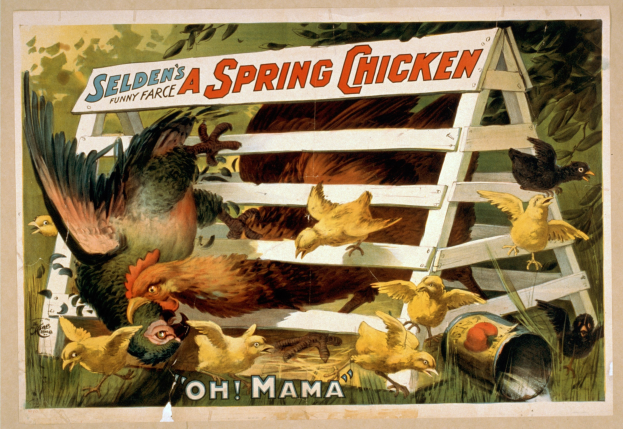 Plakat für Selden's Frühlingschicken, das Hühner und Küken in einer grünen Wiese mit einem hölzernen Zaun und Werbetext zeigt.