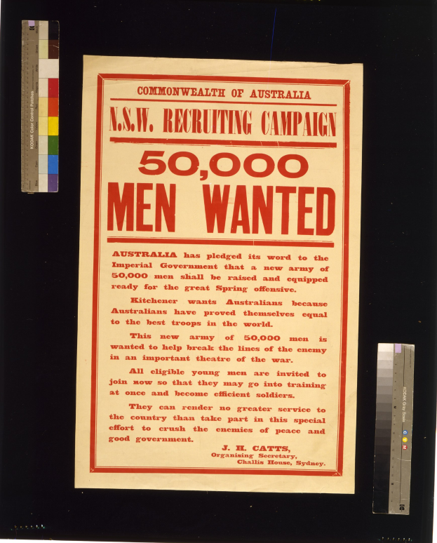Ein Plakat mit fetter, schwarzer Schrift, die 'N.S.W. Recruiting Campaign 50,000 Men Wanted' lautet, auf einem weißen Hintergrund, in Schwarz gerahmt.