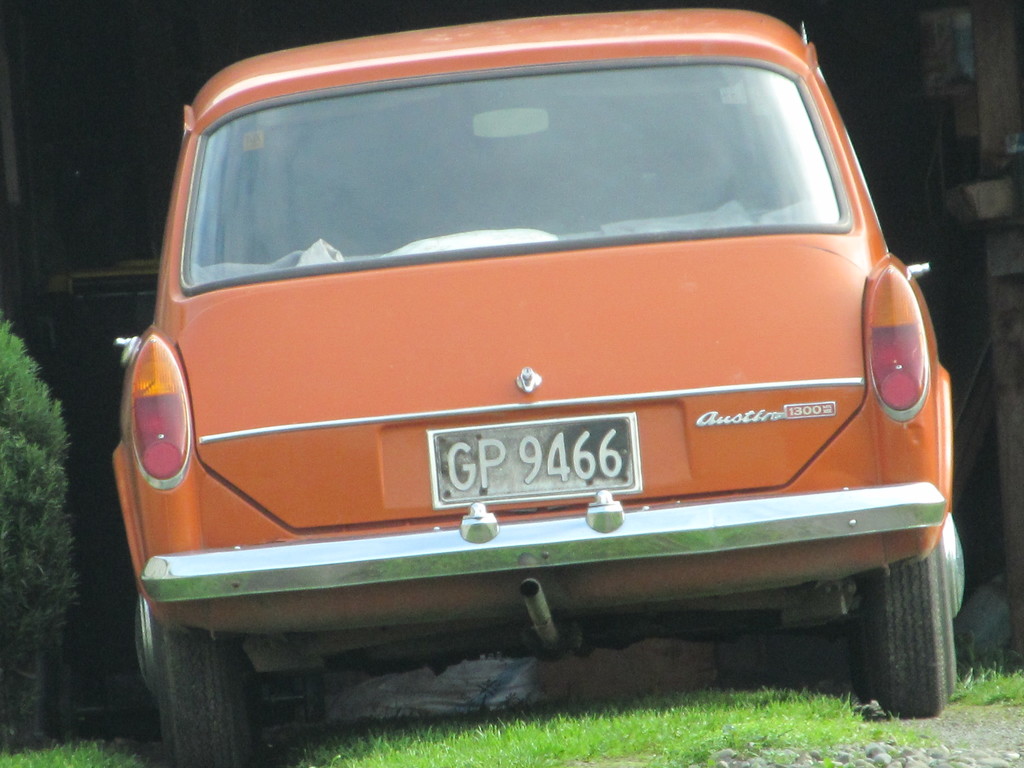 Ein Auto ist in der Mitte des Bildes zu sehen, mit Gras unten und einem Busch links.