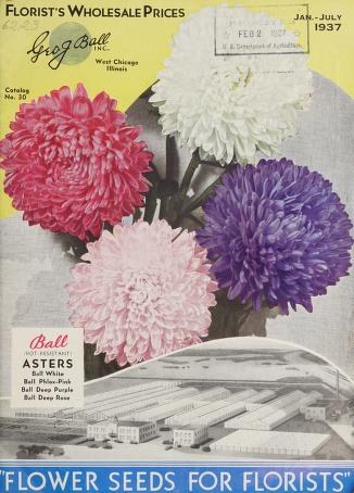 Ein Plakat mit einem bunten Blumenstrauß aus überlappenden Blumen in Pink-, Lila-, Blau- und Grüntönen mit fetter Schrift, die "Samen für Floristen" auf einem hellgelben Hintergrund liest.