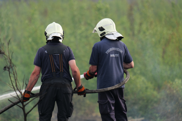 Zwei Feuerwehrleute in Schutzausrüstung sprühen Wasser aus einem Schlauch auf ein Buschfeuer, mit einem Ast auf der linken Seite.
