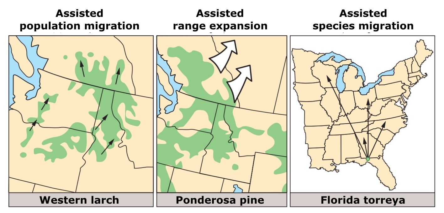 Ein Plakat mit einer US-Karte, auf der Regionen hervorgehoben sind, um verschiedene Arten der unterstützten Bevölkerungsmigration anzuzeigen, begleitet von erklärendem Text.