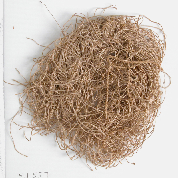 Stapel von hellbraunen, verfilzten Ginsengwurzeln auf einer weißen Oberfläche mit Text unten.